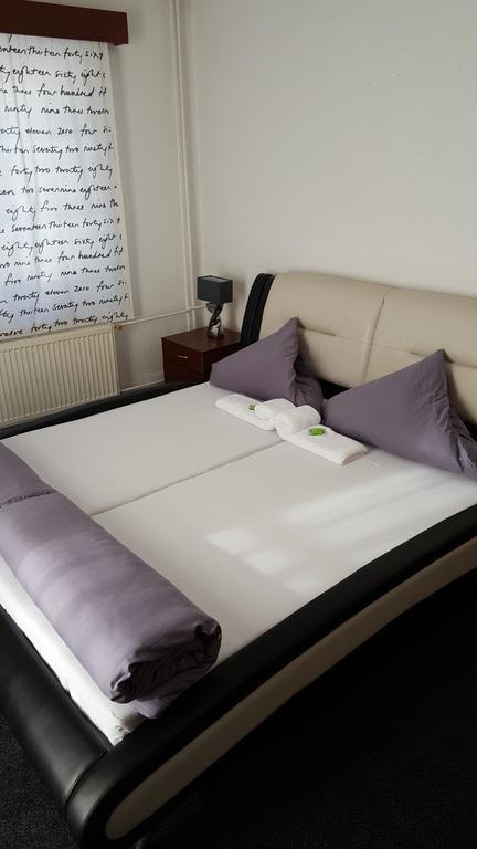 Hotel Excelent Rýmařov Eksteriør billede